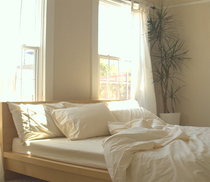 Bedding on bed in sunlit room