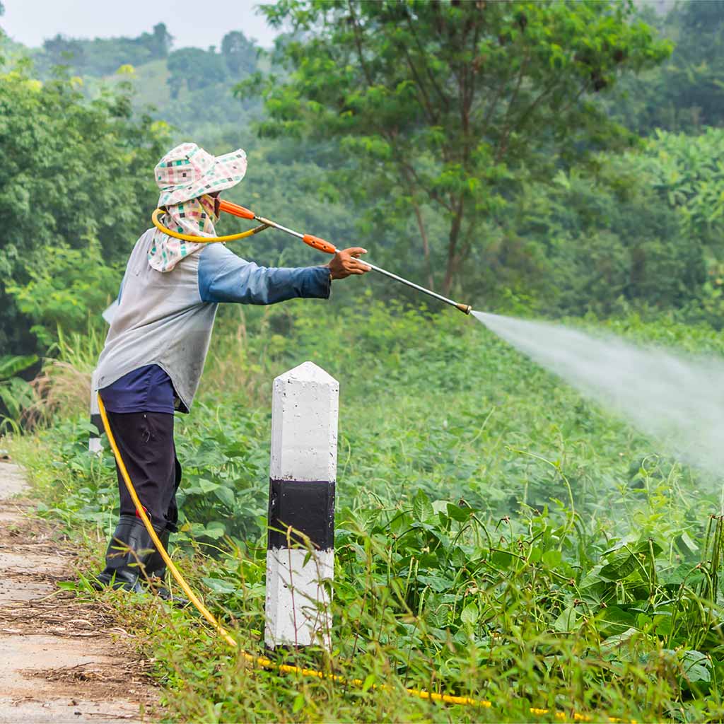 person spraying pesticides