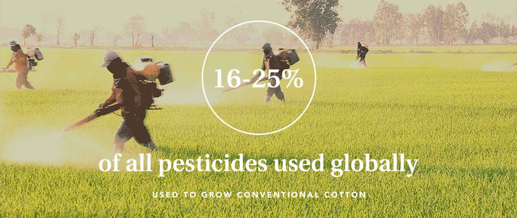 Infographic of pesticides used globally